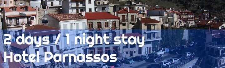 Hotel Parnassos Arachova Stay1